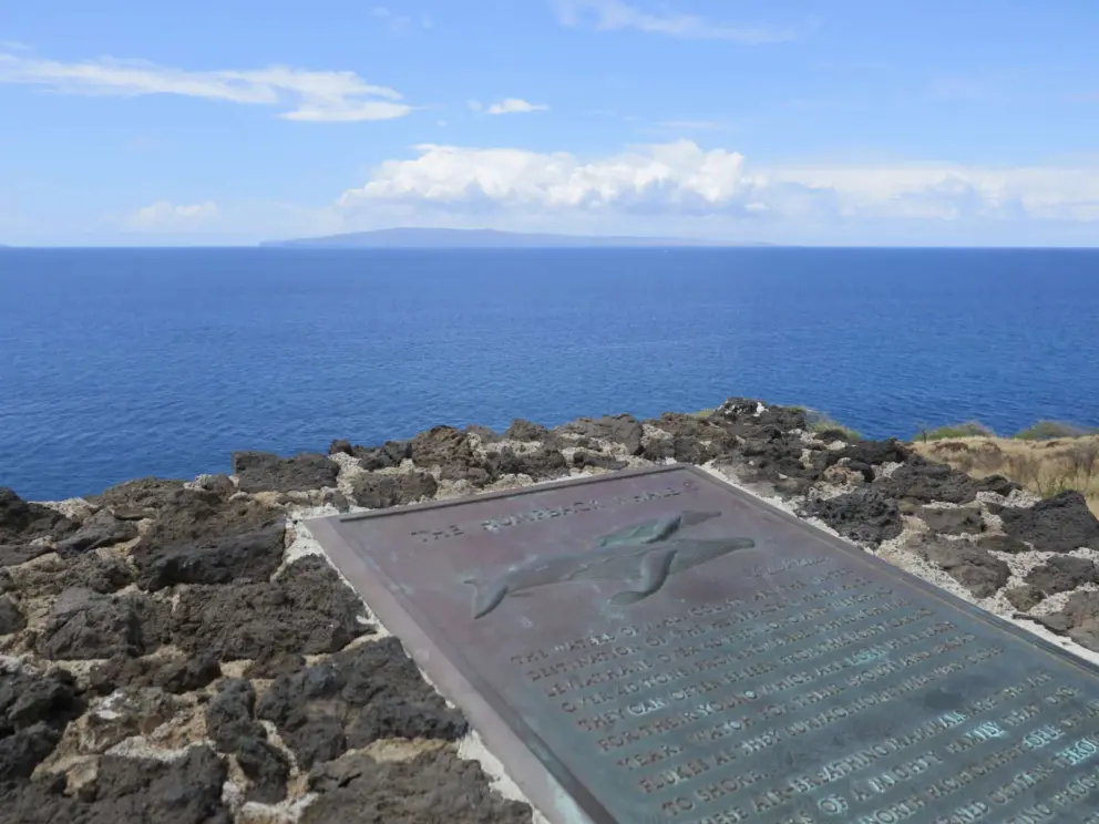 Plaque about whale sightings at Papawai Scenic Lookout. 