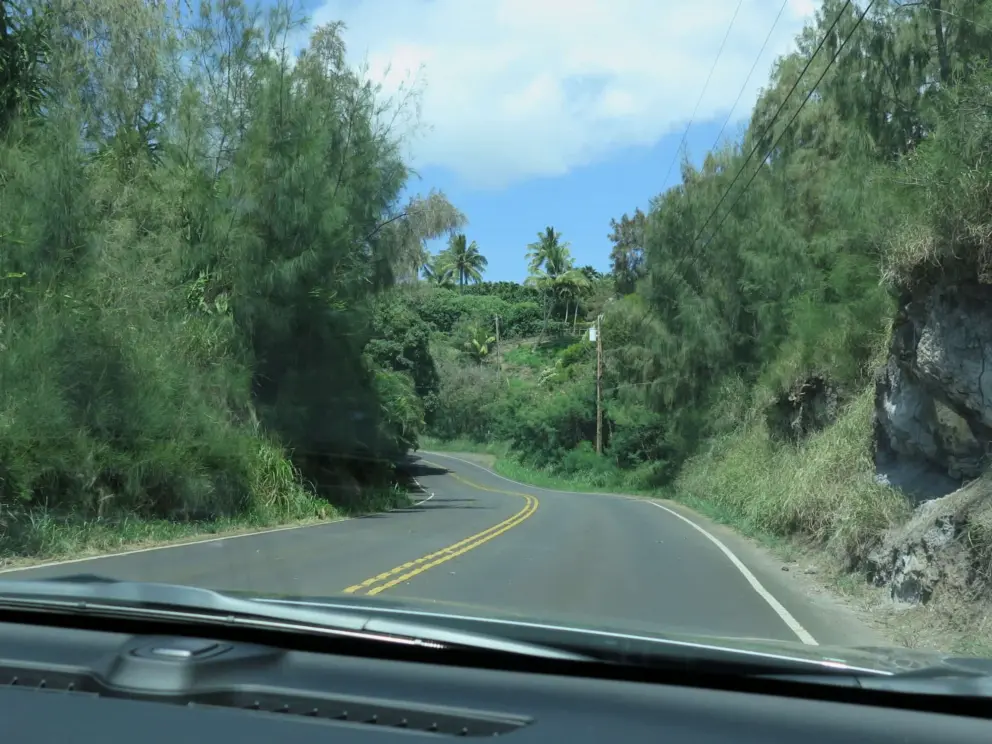 Vegetation along Highway 30. 