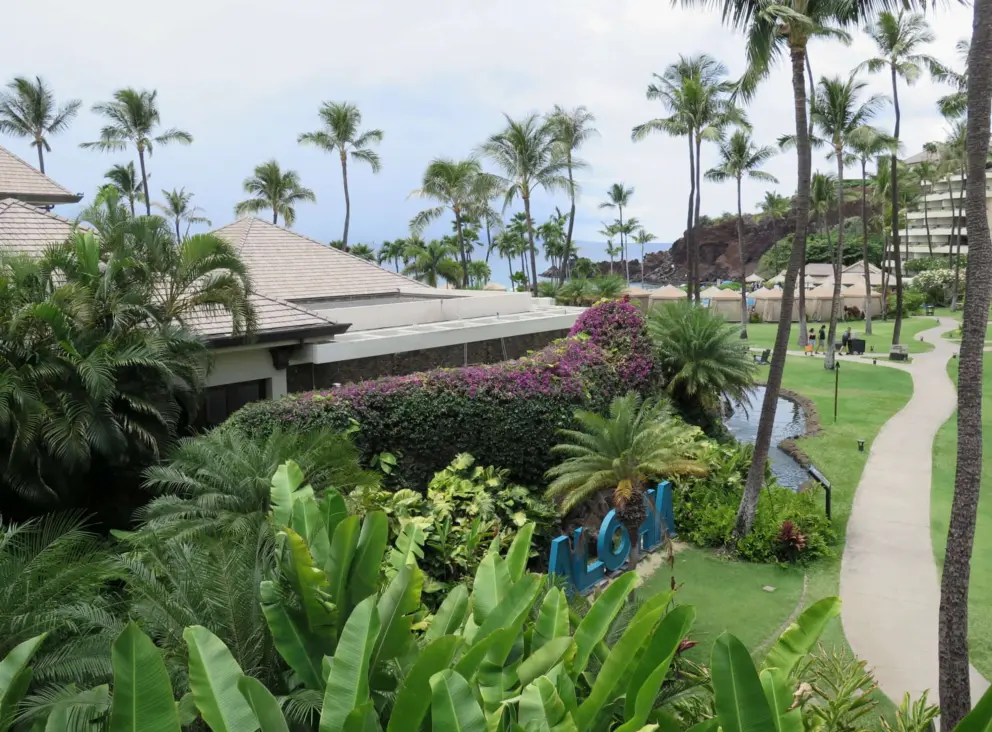 Walking paths, banana trees, bougainvillea, and coconut trees on the grounds of the Kaanapali Beach Resort. 