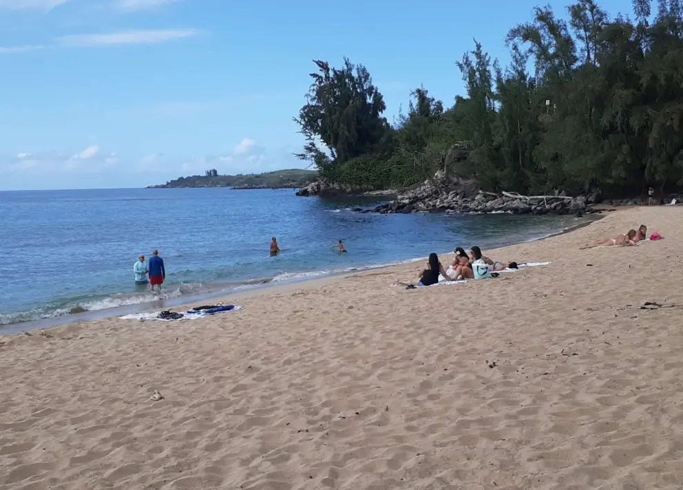 A group chats on the beach while swimmers stand in the water. 