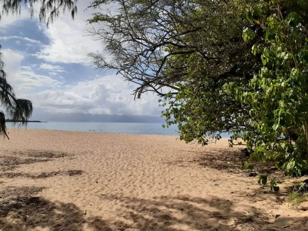 Afternoon at Fleming Beach.