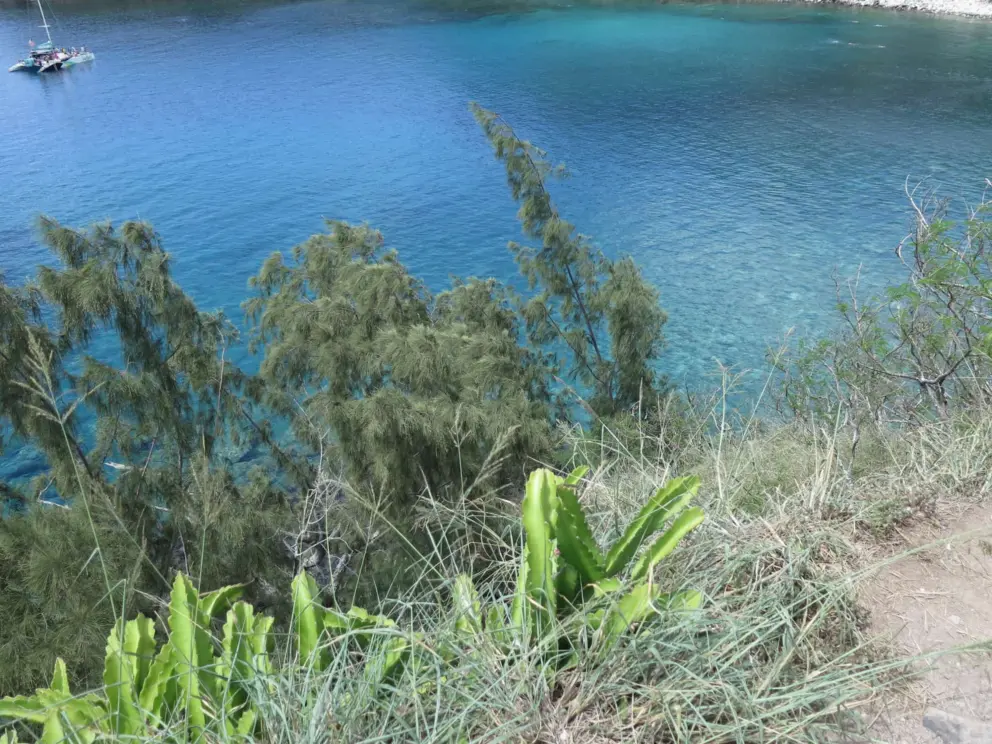 The sparkling, clear water of Honolua Bay!