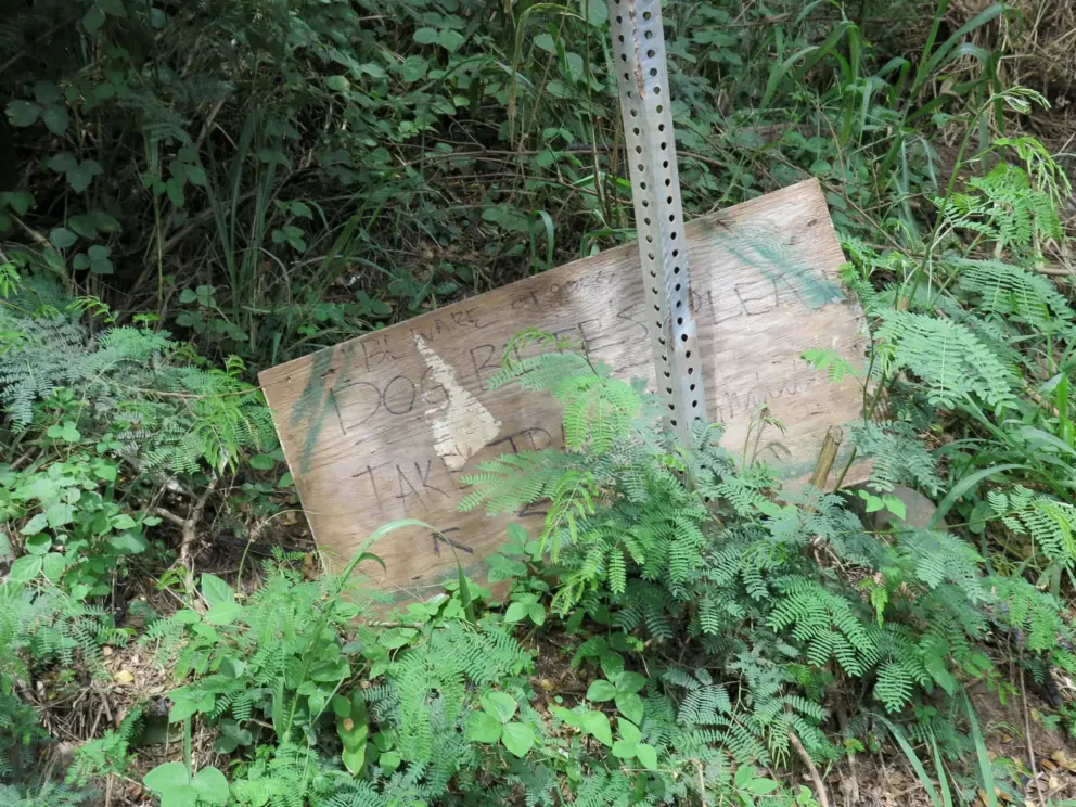 Weird signs placed by the homeless campers. 