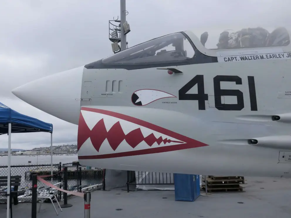 Plane decorated with a shark. 