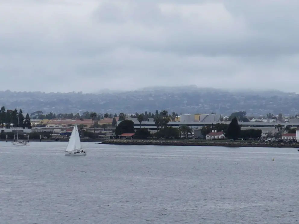 Sailboat in the harbor. 
