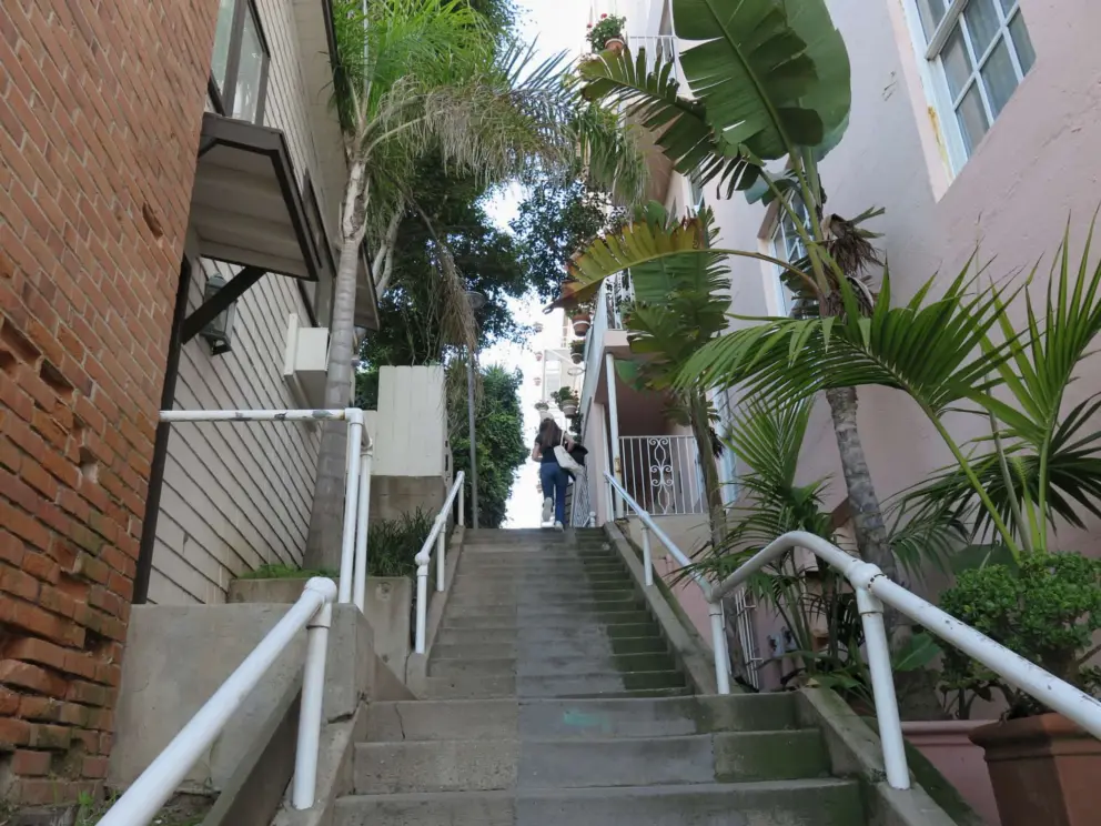 Banana trees along the secret stairs. 