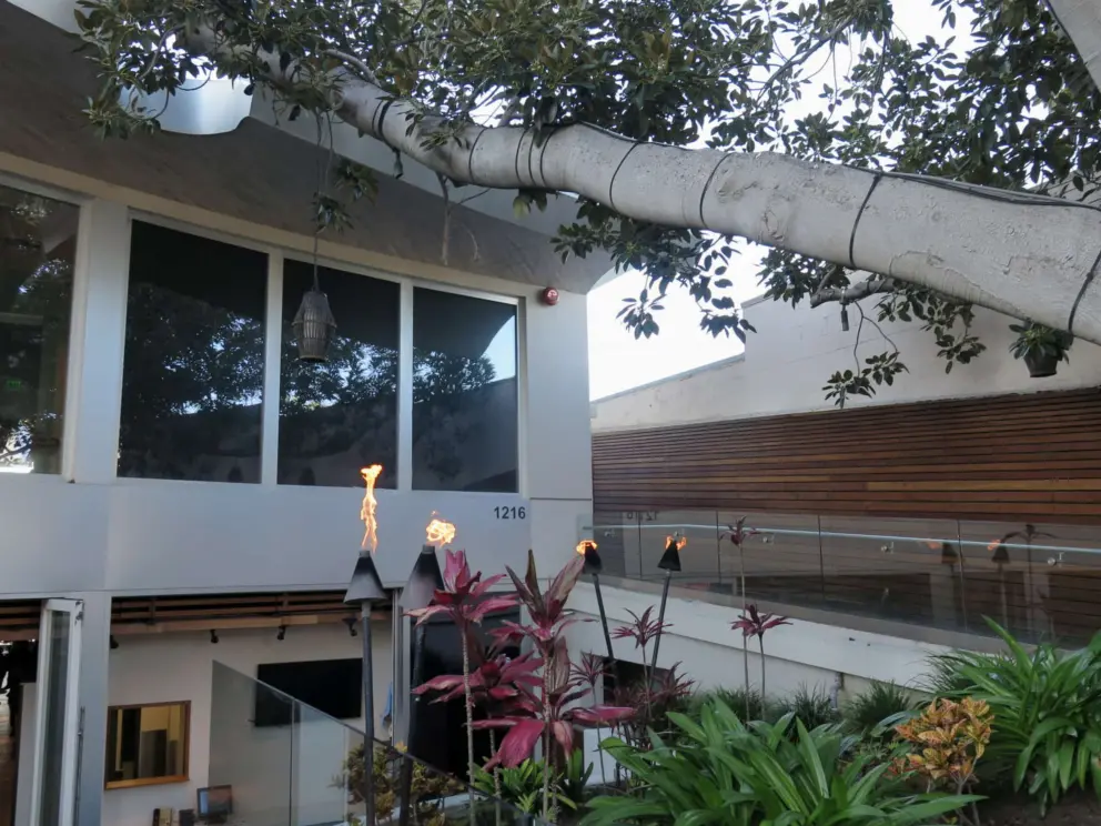 Tiki torches in front of Duke's. 