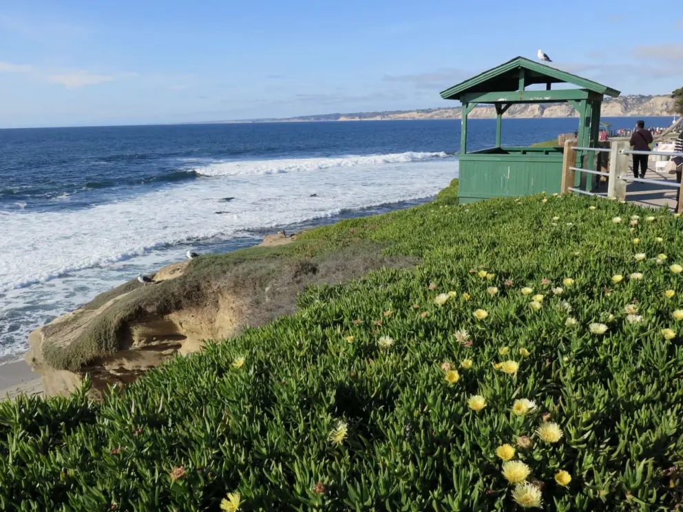 Green gazebo and ice plant. 