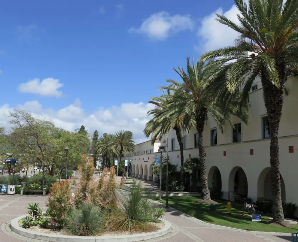 A sunny day with canary palms brightening the scene. 