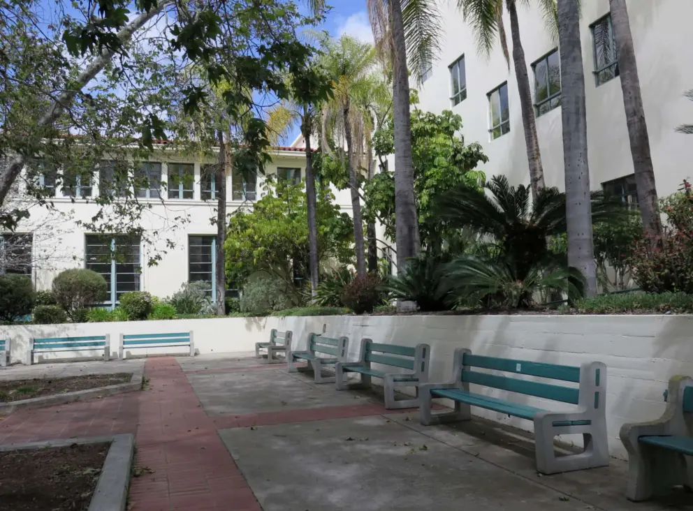 Shady courtyard with tropical plants. 