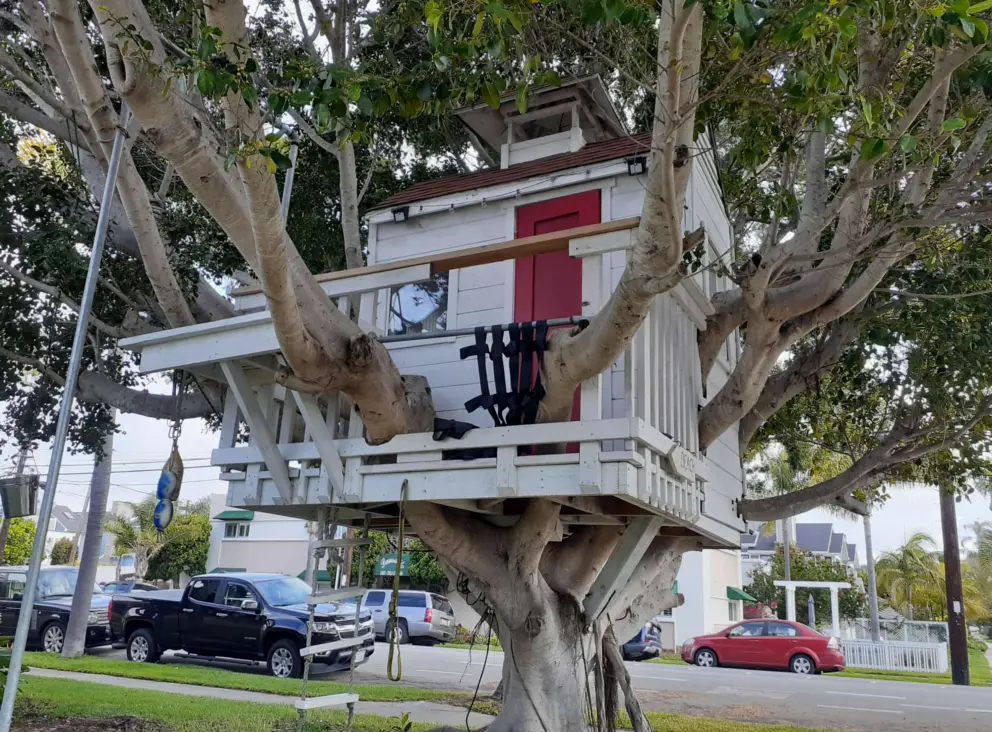 Treehouse in a garden. 