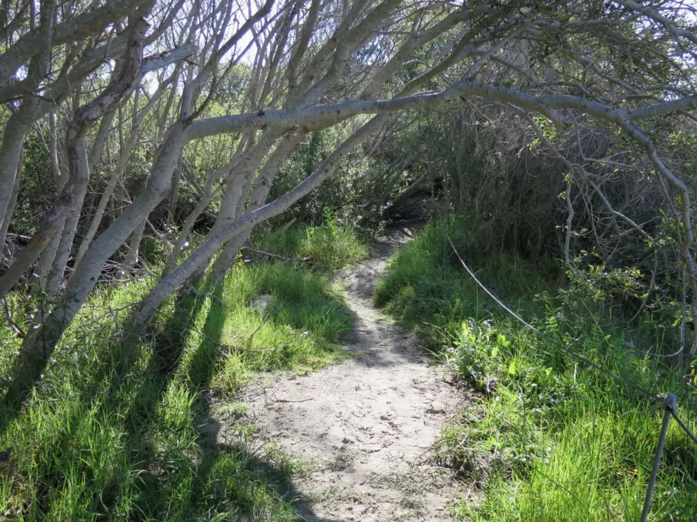 Another path down to the beach, from the park that borders the Azure Street parking lot. 