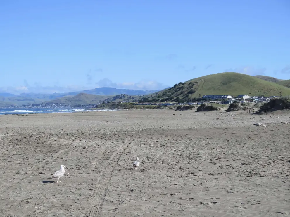 Hills to the north. 