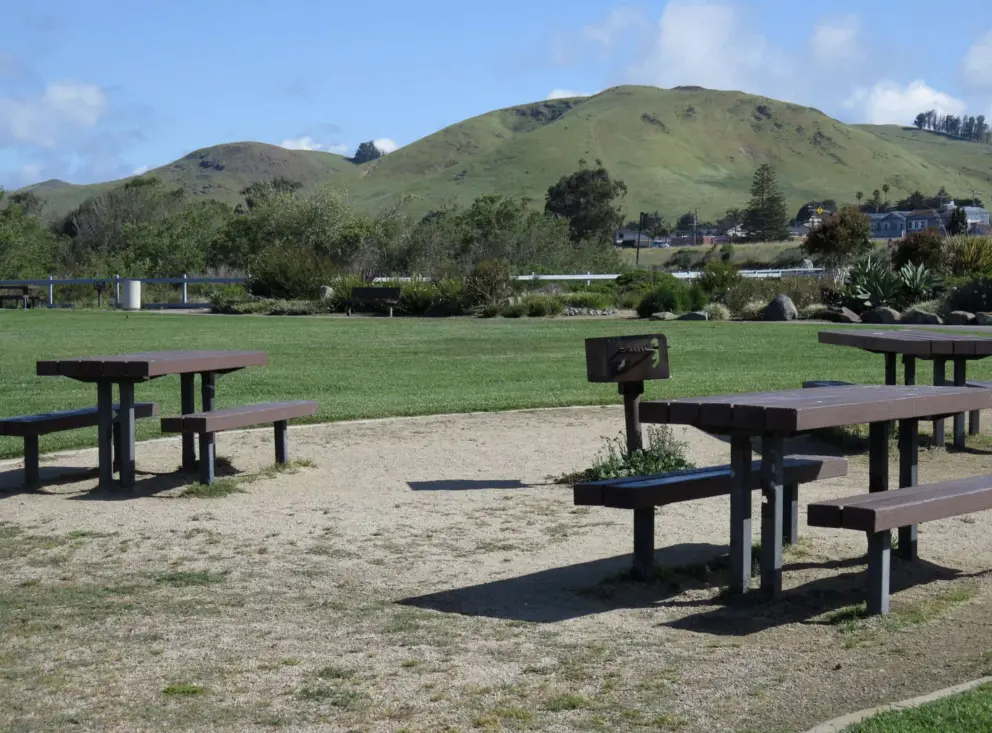 Picnic tables with views of the hills. 