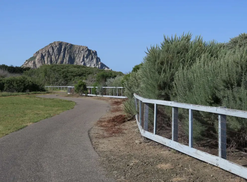 A lovely walking path that runs through the park. 