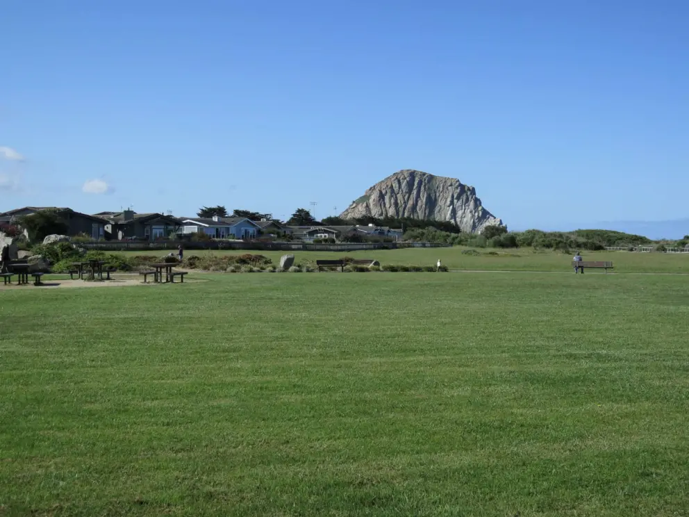 The huge lawn!
