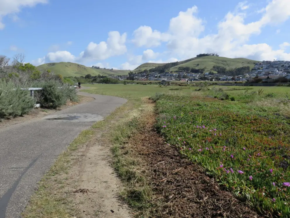 The path and cute clouds. 