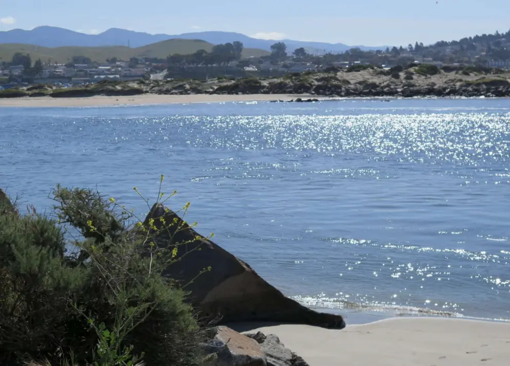 The sparkling water of the inlet!