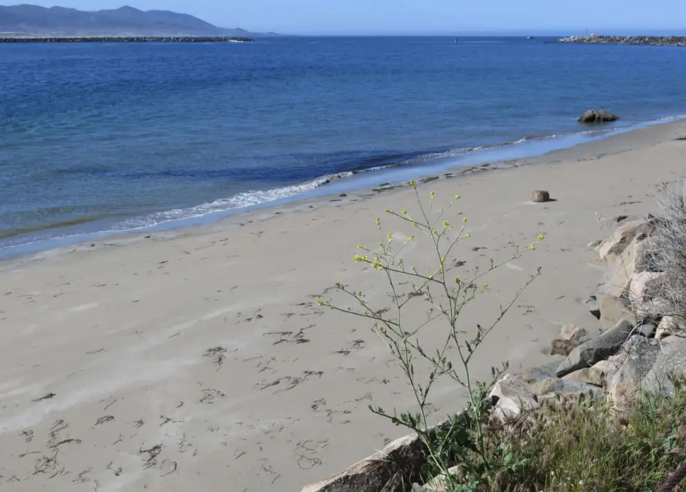 Sheltered inlet beach on the south side of the rock. 