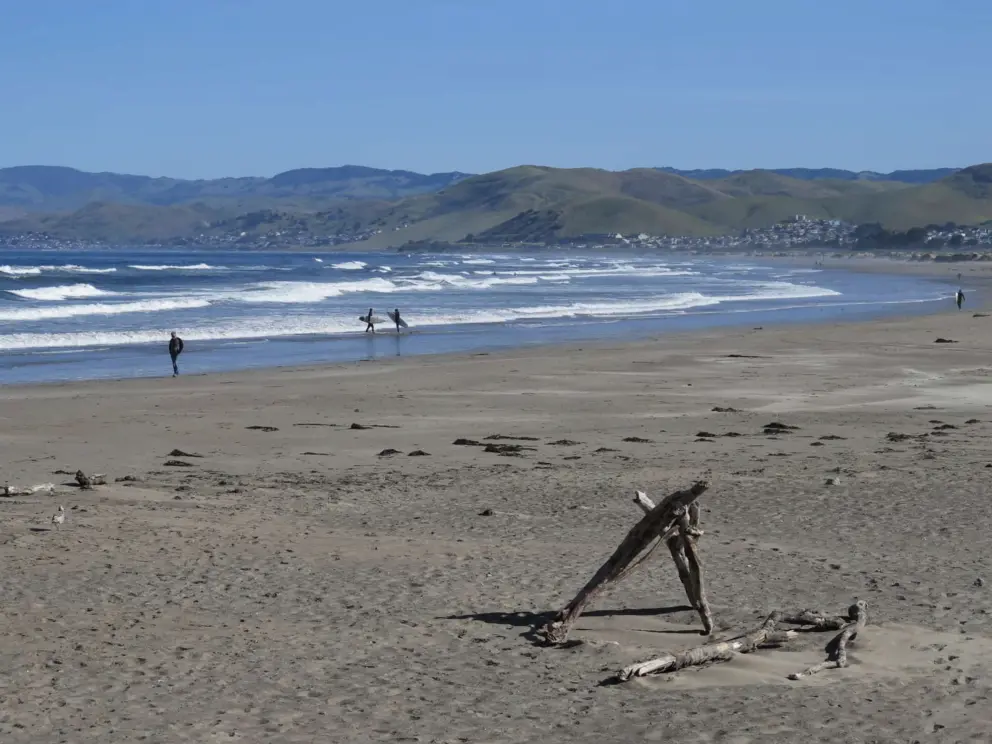 Surfers along the shore.