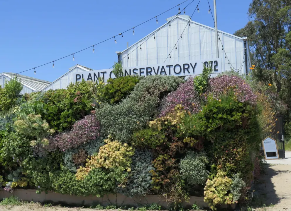 The living wall in front of the Plant Conservatory.
