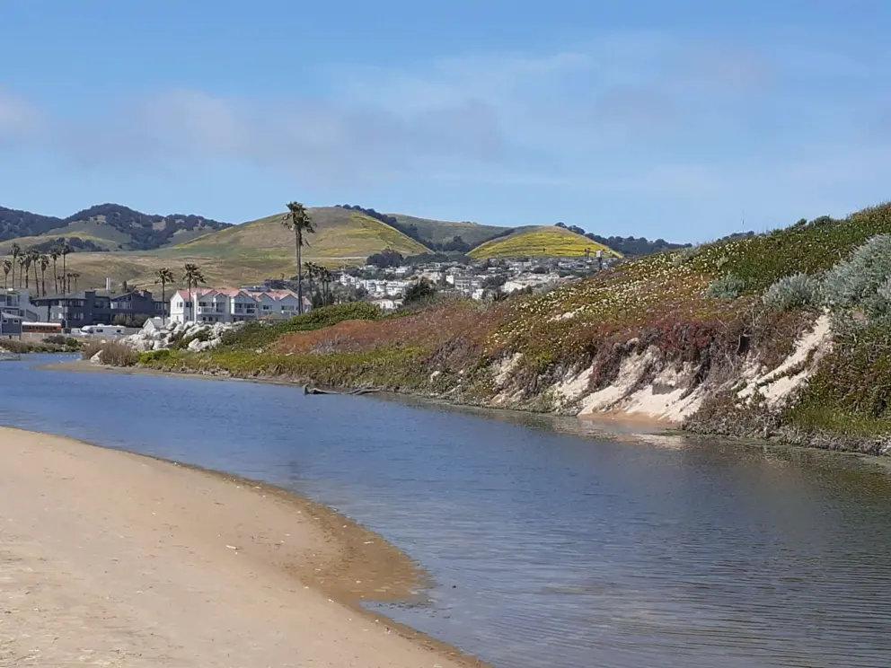 Pismo Creek and wildflowers galore, as seen from Pismo State Beach. 