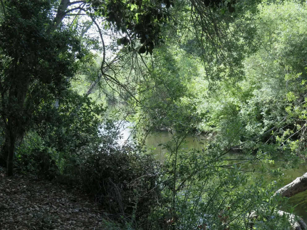 The creek which runs along the trail. 