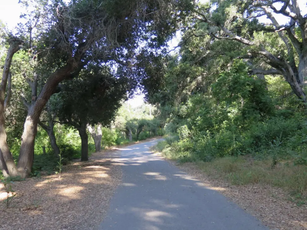 The shady parts of the trail are the nicest. 