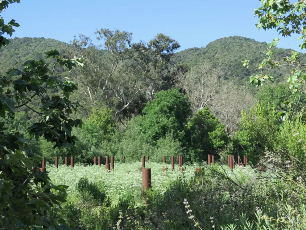 Leftover metal posts, near Secret Garden.