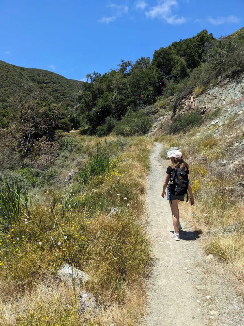 Hiker on a spring day on the Froom Creek Trail. 