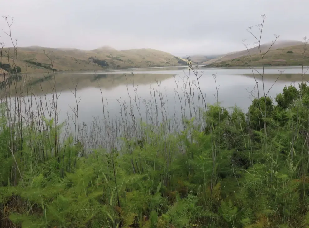 Ferny vegetation and hills reflected in the still water. 