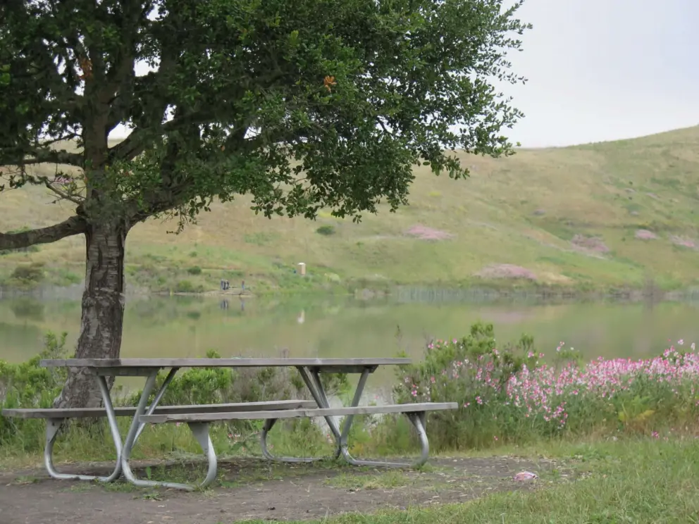 Picnic table, pink flowers, and lake. 