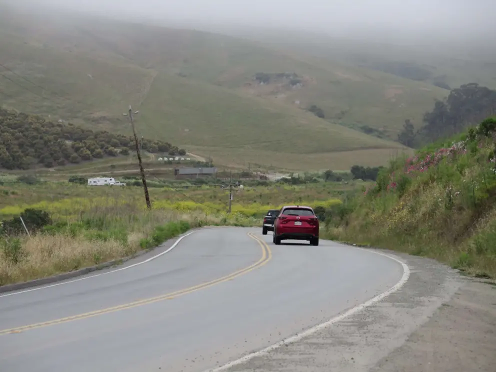 The road winds past orchards. 