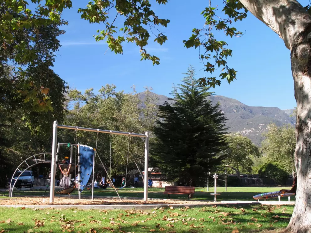 Trees and space-age playground.