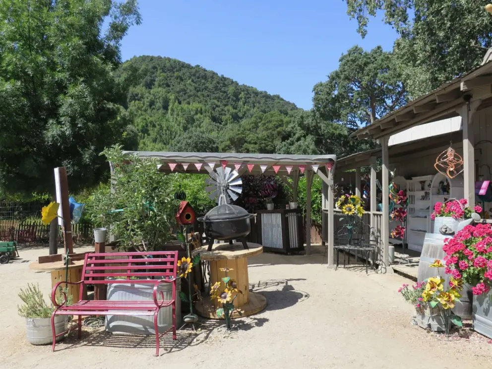 The lovely hill, as seen from outside the farm store. 