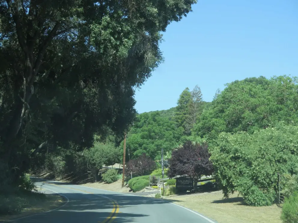 Curve in the road of Highway 46, near Jack Creek Farms. 