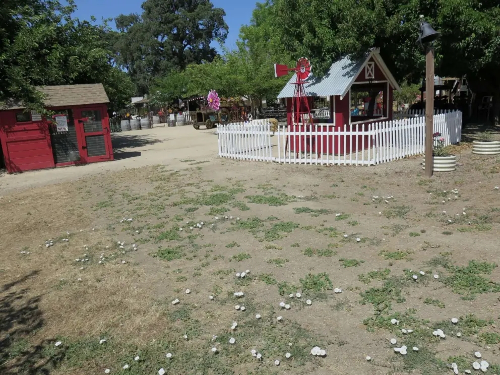 Flowers, bell, chicken coop, and vegetable stand, in the play area. 