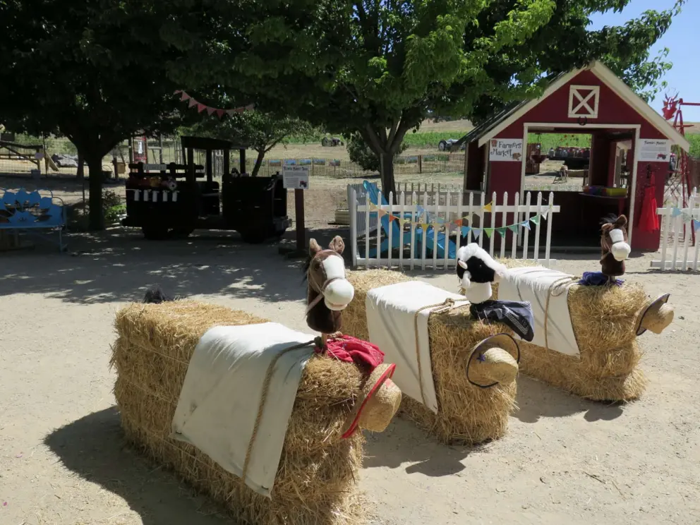 Practise your riding skills!