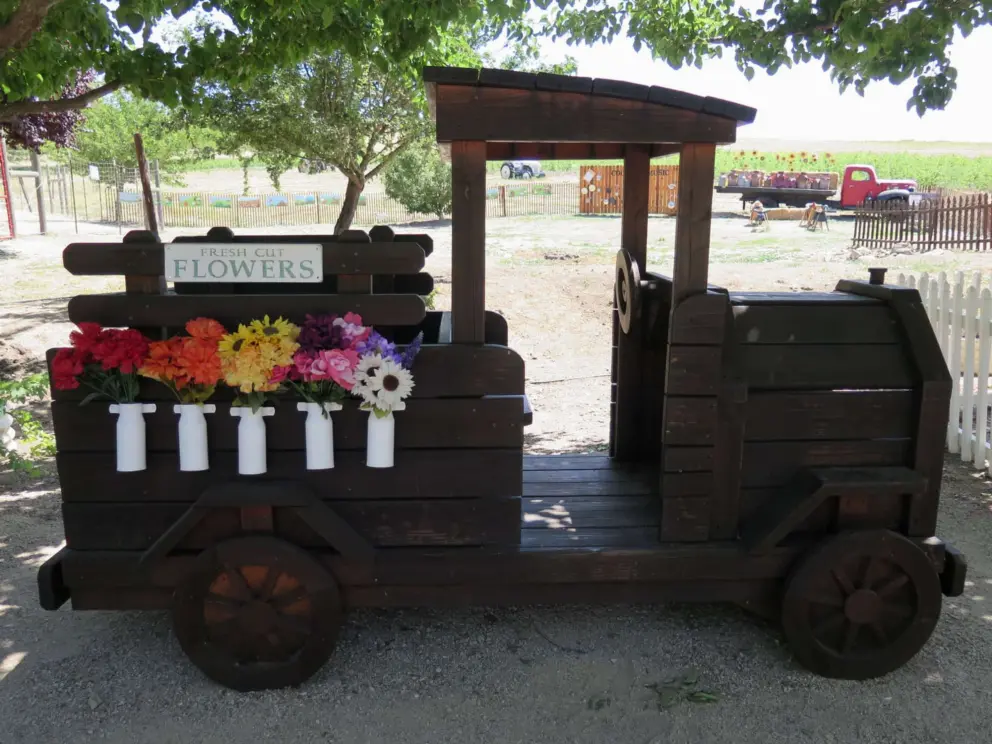 Fresh cut flowers play wagon.