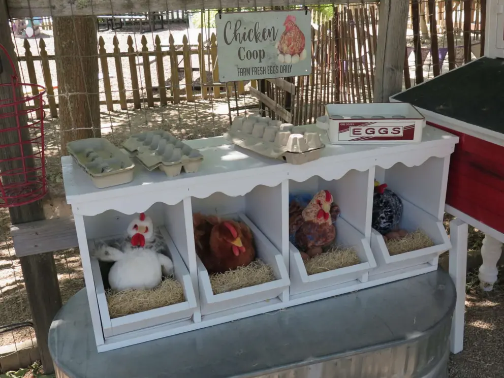 Chicken coop play area with eggs and chicken stuffies!