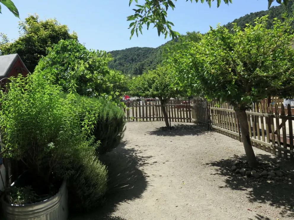 Lovely greenery everywhere. 