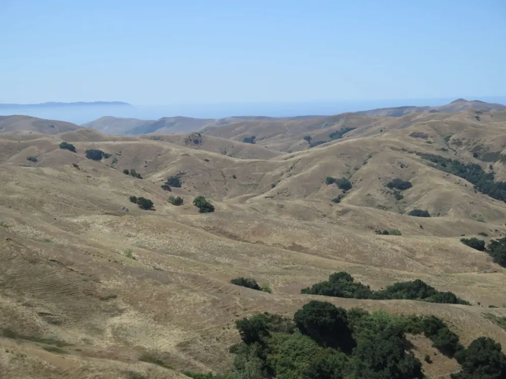 Layers of golden hills, and foggy Morro Bay beyond. 