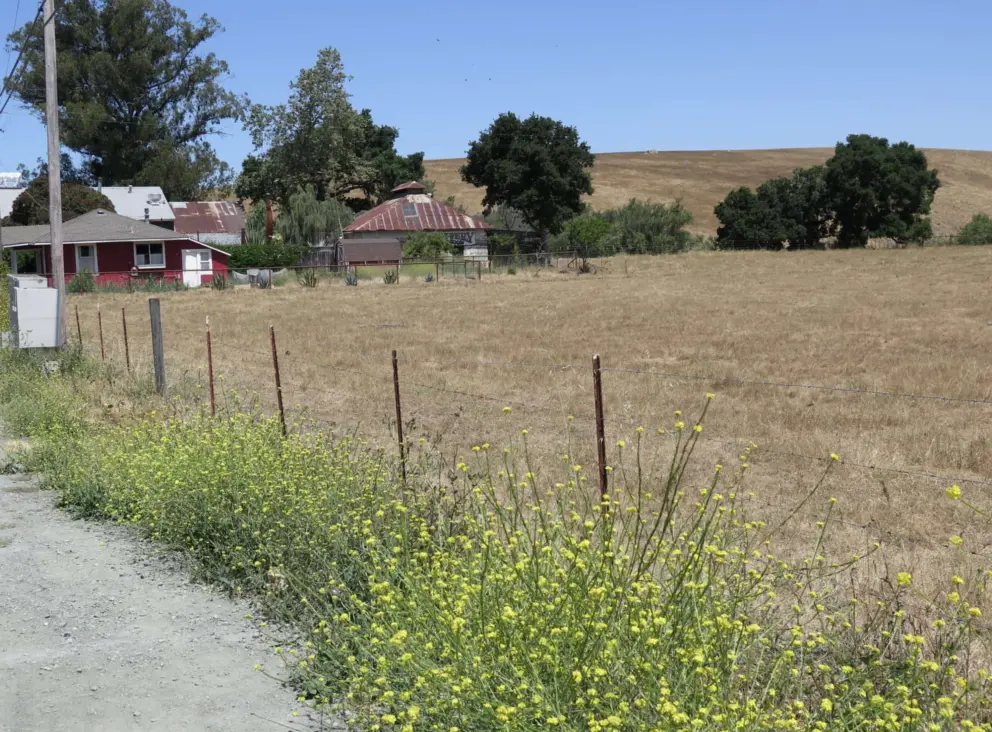 The town of Harmony and its hillsides. 