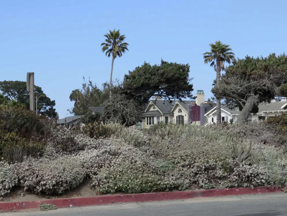 Vegetation in the parking lot, and houses in the distance. 