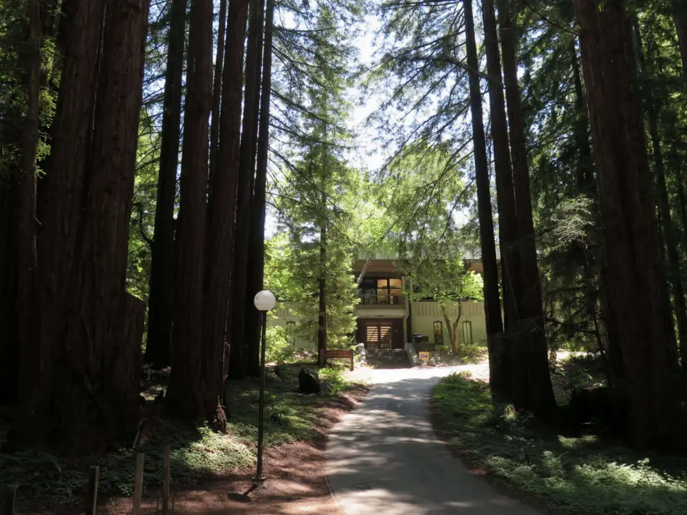 A building deep in the forest. 