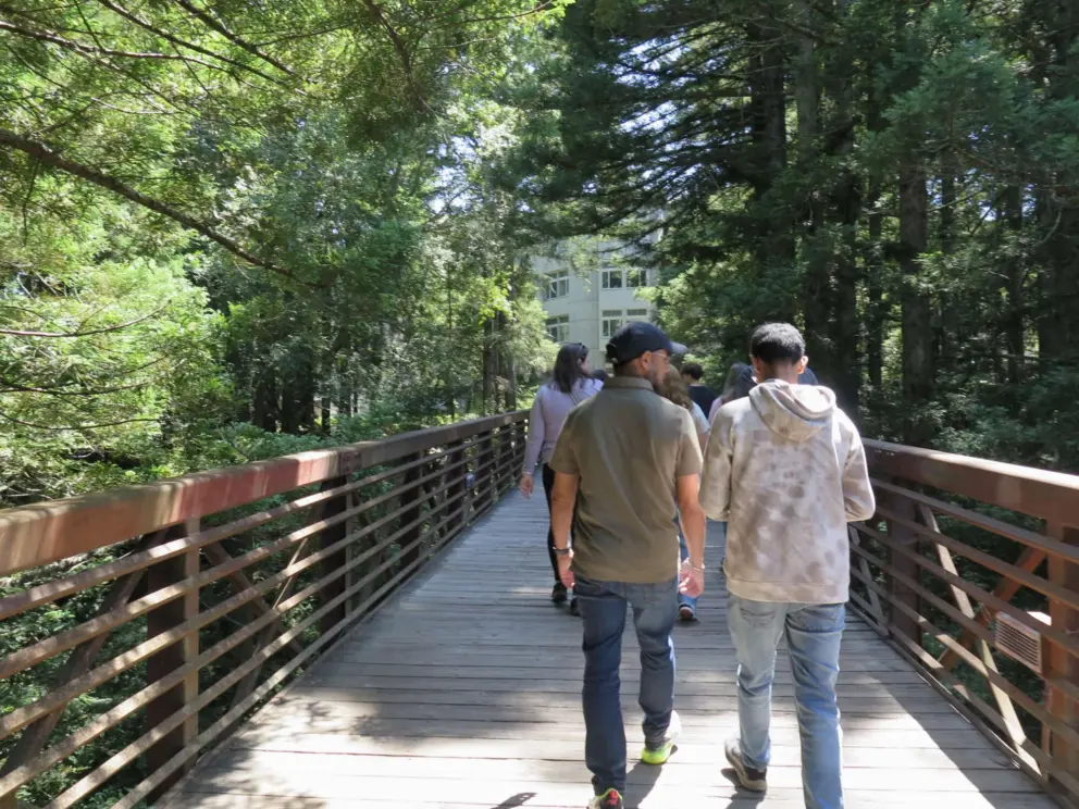 A father and son walk over a pedestrian bridge. 
