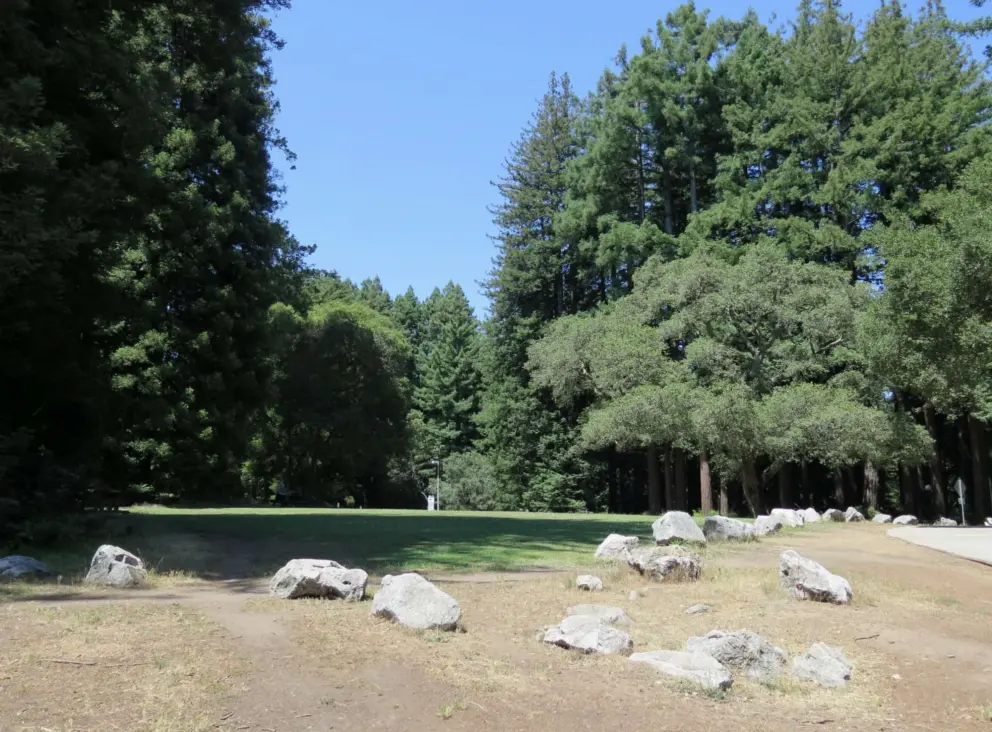 Limestone rocks and a grassy clearing. 