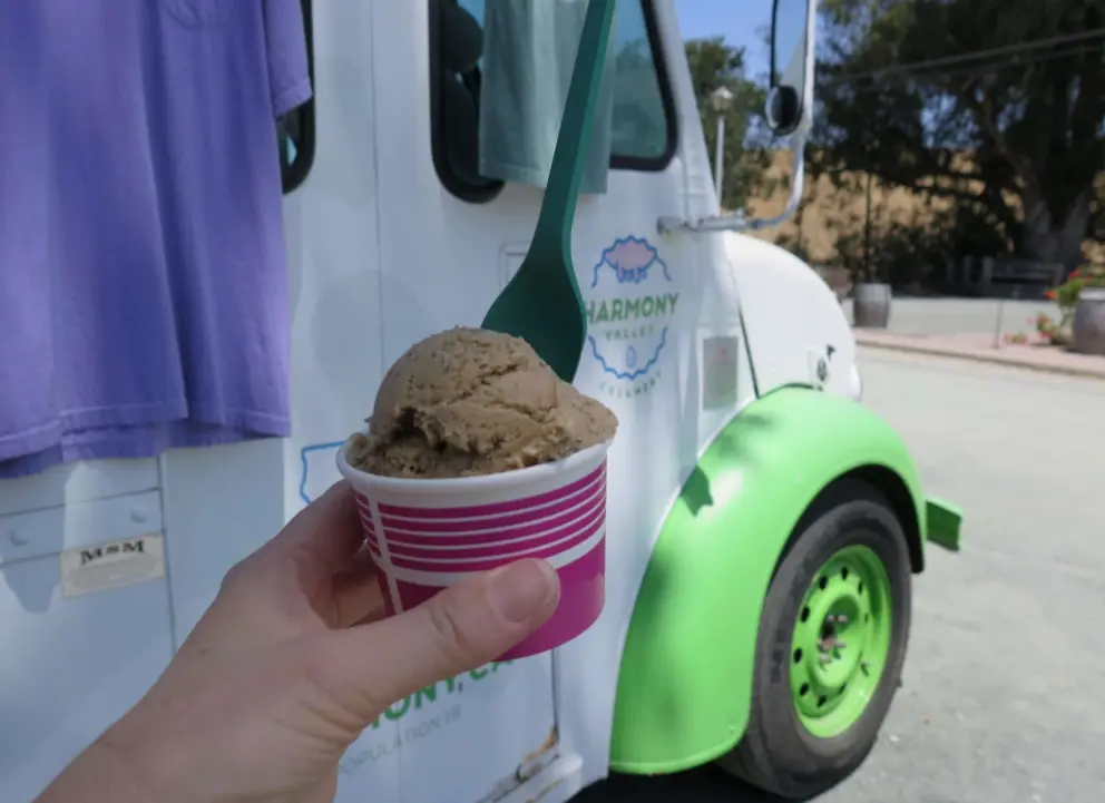Chocolate ice cream from the ice cream truck. 