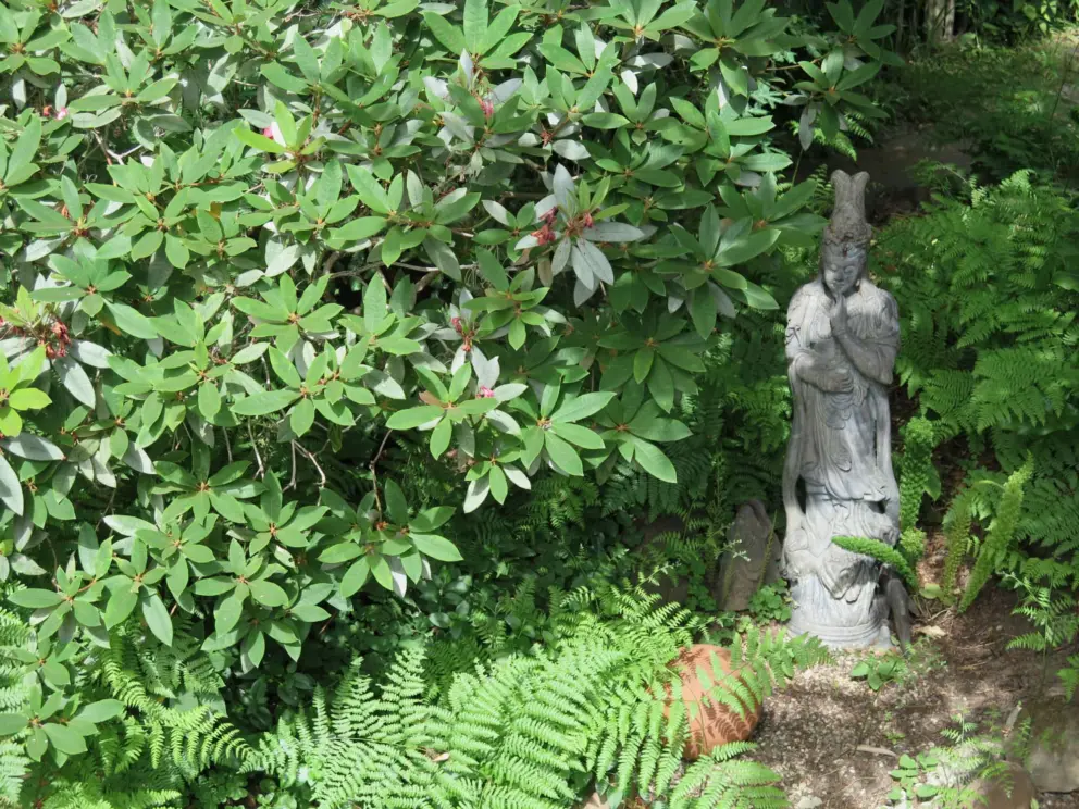 A statue in the forest. 
