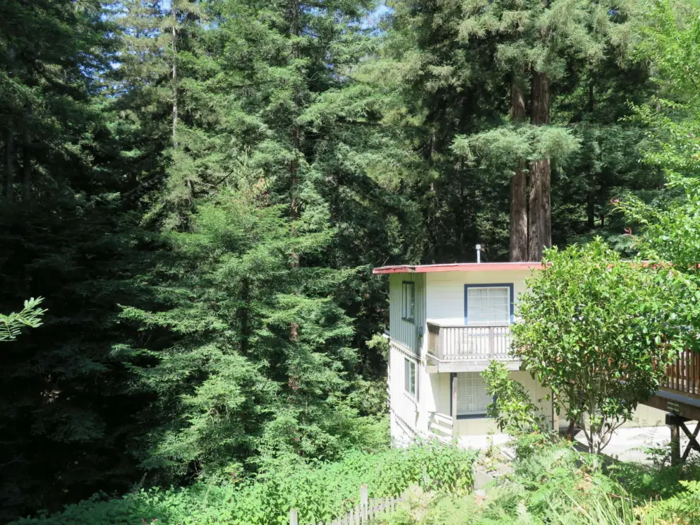 Retreat center rooms in the sunlight, with forest behind. 